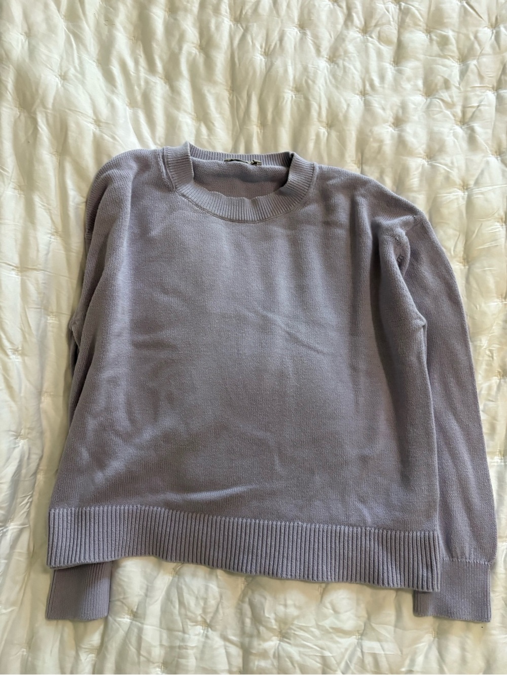 Everlane Lavender Cotton Crewneck Sweater M